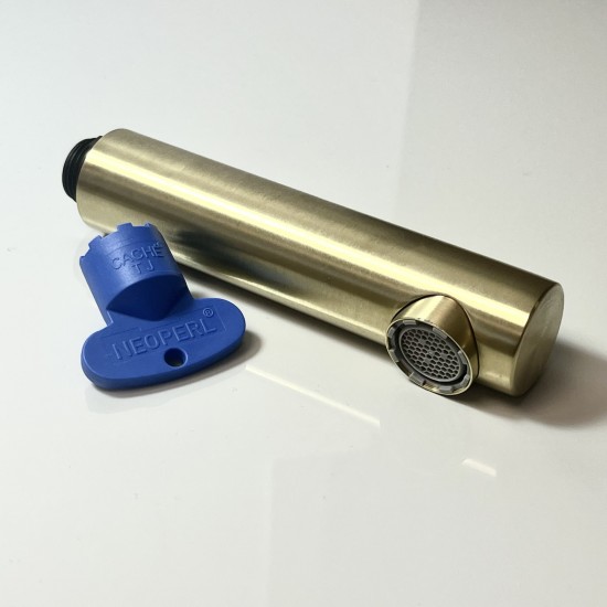 Sprayhead : Gold