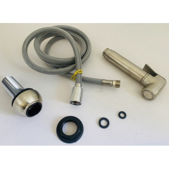 Hand Spray Assembly : SILKSTEEL