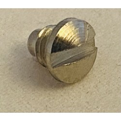 Spout Retaining Screw