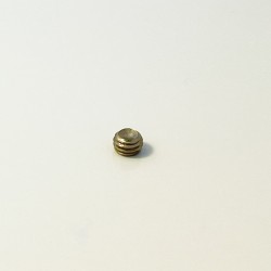Lever Retaining Screw